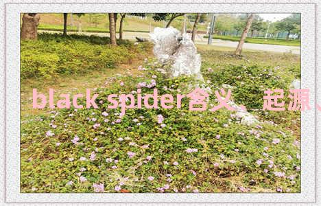 black spider含义、起源、相关知识